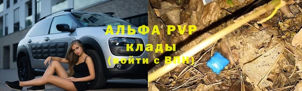 трава Алексин