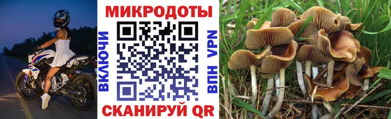 Псилоцибиновые грибы GOLDEN TEACHER Островной